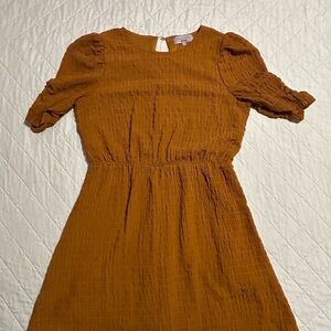 Rust Textured Puff Sleeve Dress